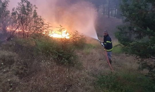 8 Hektarlık Alanda Yangın Çıktı