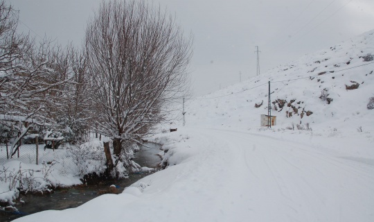 Afşin’de kar yağışı hayatı olumsuz etkiledi