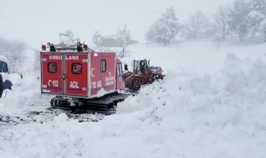 Kar Yolu Kapattı, Hastaya Paletli Ambulansla Ulaşıldı