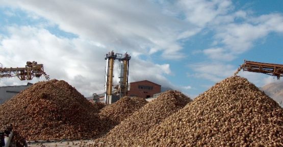 12 günde 4 bin ton şeker üretildi