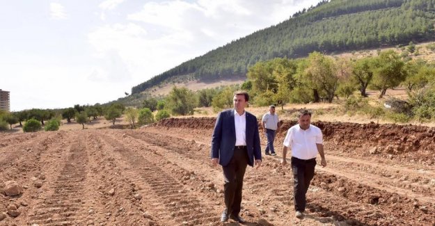 Başkan Erkoç, Yeni Bulvarda İncelemede Bulundu