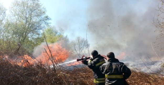 Büyükşehir İtfaiyesi Bir Günde 50’den Fazla Anız Yangınına Müdahale Etti
