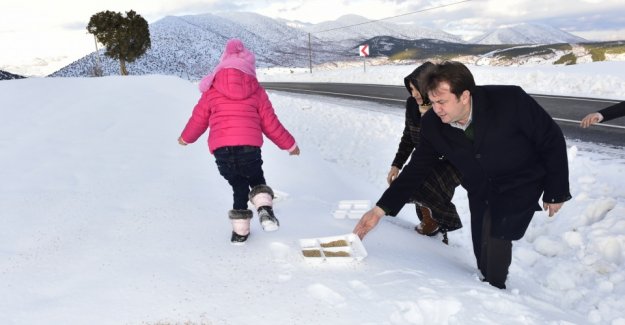 Başkan Erkoç Dağlara Yem Bıraktı