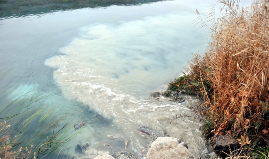 Ceyhan Nehri'nde balık ölümleri