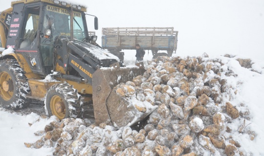 Erken Gelen Kar Yağışı, Pancar Çiftçisini Mağdur Etti