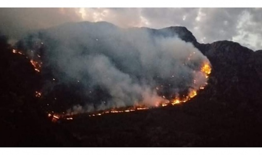 Andırın’da Orman Yangını
