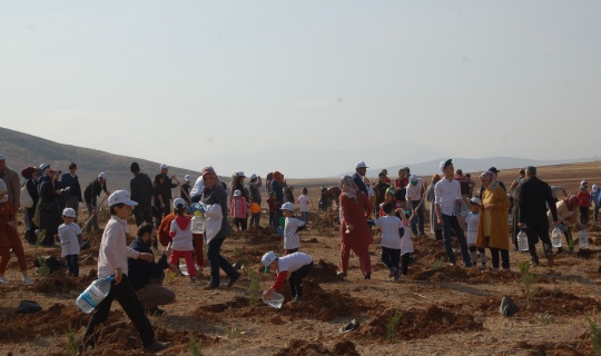 Milli Ağaçlandırma Günü'nde, Afşin'de 7 Bin Fidan Toprakla Buluştu