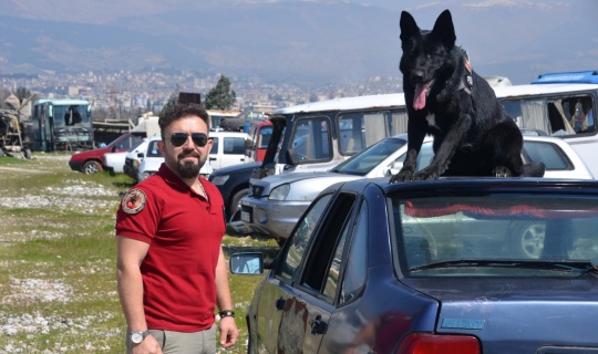 Narkotik dedektör köpeği "Alfi" polislerin en büyük yardımcısı