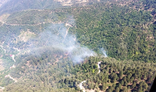 2 hektarlık orman yangında zarar gördü