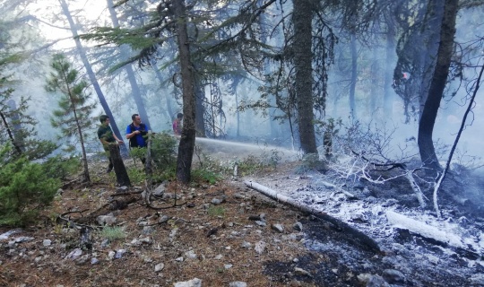 Orman ve örtü yangını söndürüldü