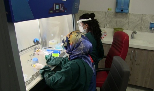 Kuzey İlçeler İçin PCR Laboratuvarı Kuruldu