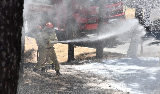 Orman Bölge Müdürlüğü ekipleri yangın söndürme tatbikatı yaptı