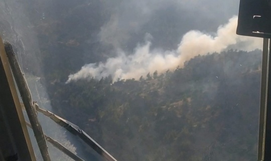 Çıkan orman yangınında 1 hektar alan zarar gördü