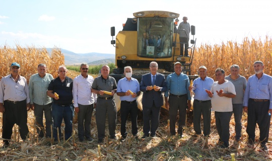 Pazarcık'ta mısır hasadı başladı