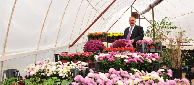  Afşin Belediyesi Kendi Çiçeklerini Yetiştirecek