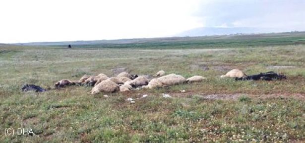 Elbistan'da Yıldırım Çarpan 2 Çoban Öldü