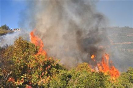 Kahramanmaraş'taki Orman Yangını