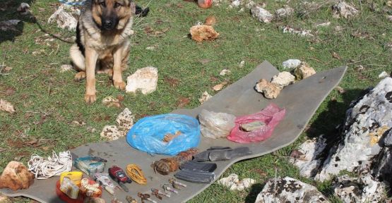 PKK'nın Cephanesini, Jandarma Köpeği 'Akım' Buldu