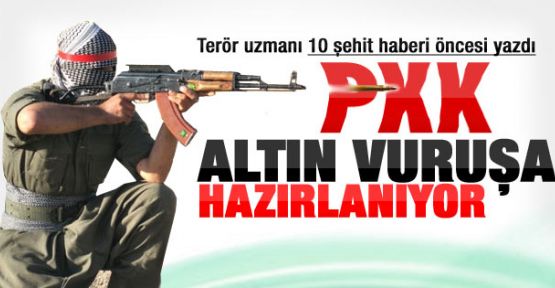 Sedat Laçiner: PKK altın vuruş hazırlığında